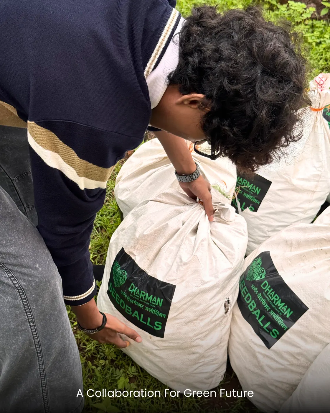 Volunteers filling sacks with hand-rolled seed balls.