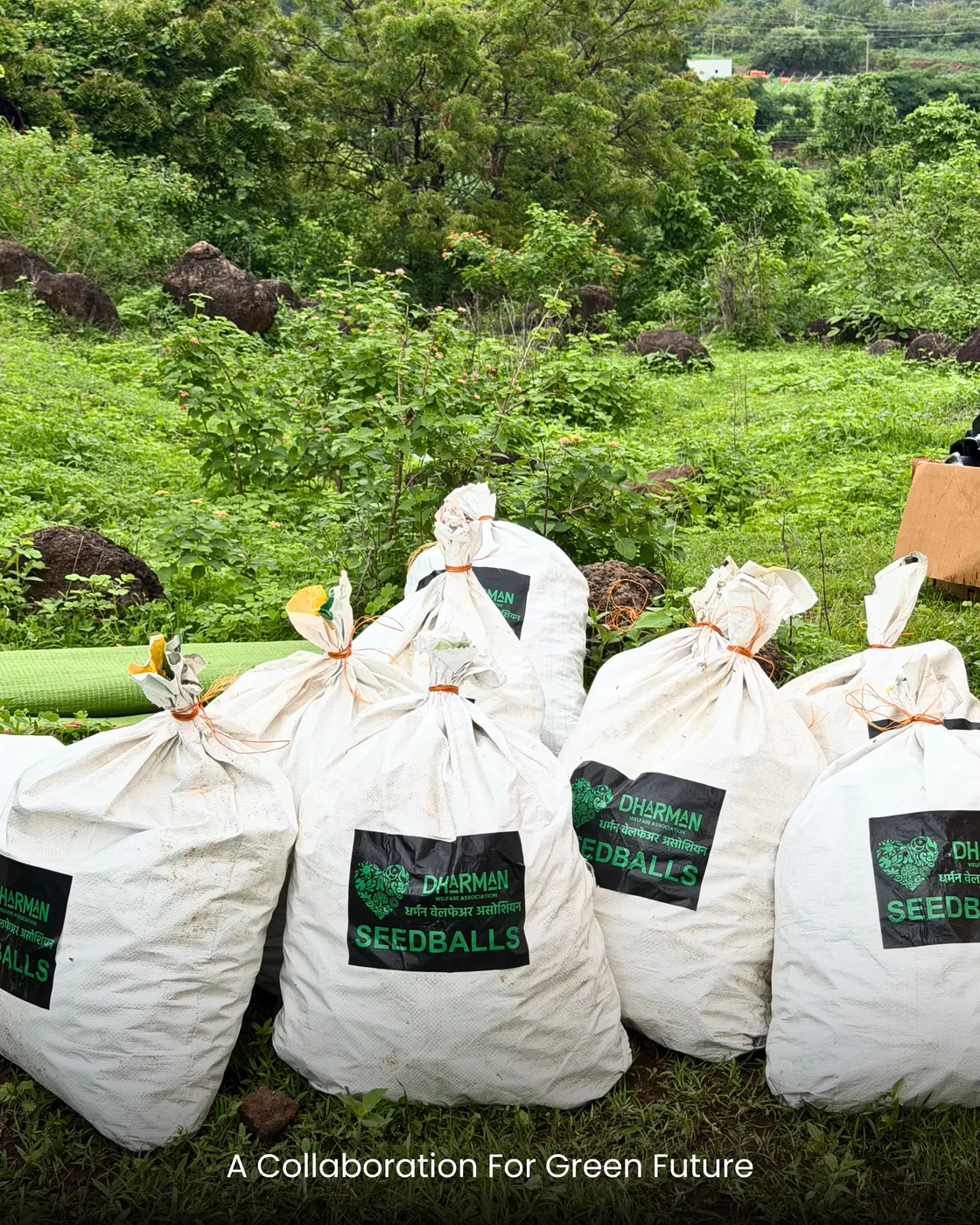 Sacks of seed balls stacked at the edge of the green hillside.