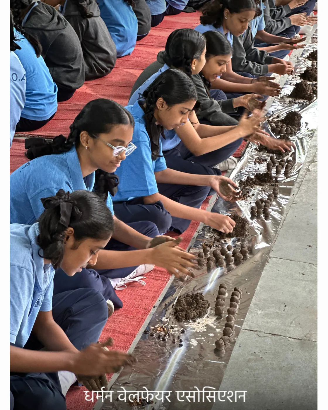 A long line of completed seed balls drying along the school steps.