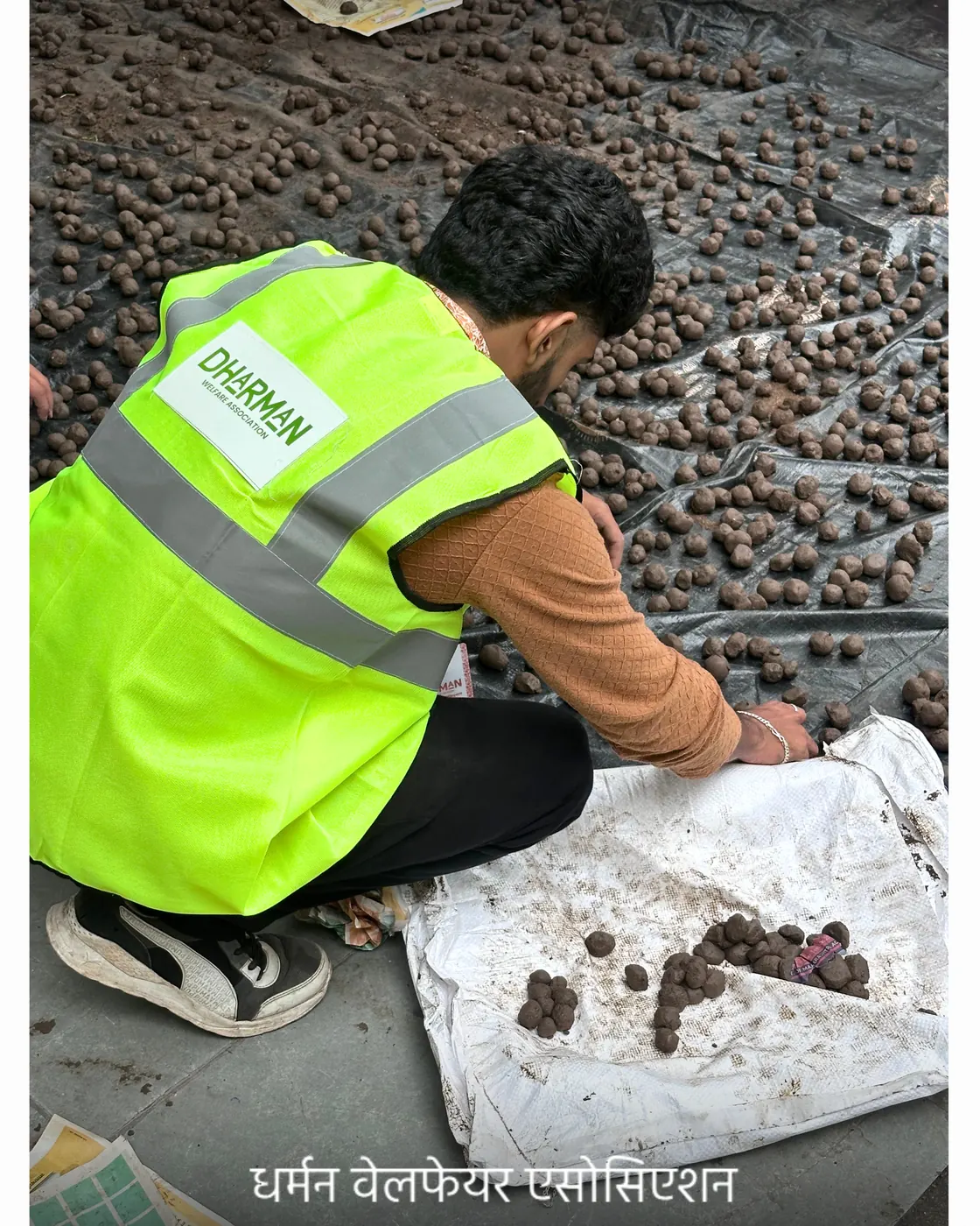 A volunteer in a safety vest sorting seed balls into sacks.