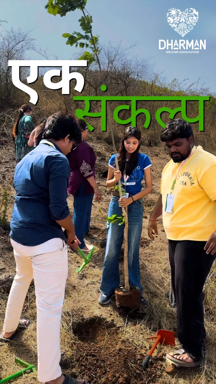 Volunteers planting a sapling together on a hillside.